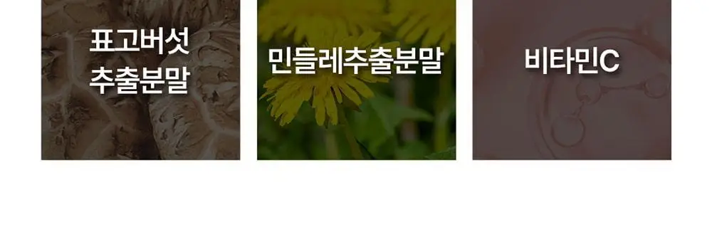 [대용량] 그린몬스터 맥스 밀크씨슬 10 90정 (3개월분) 상세페이지 27